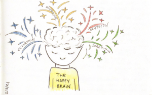 Read more about the article The Happy Brain…?