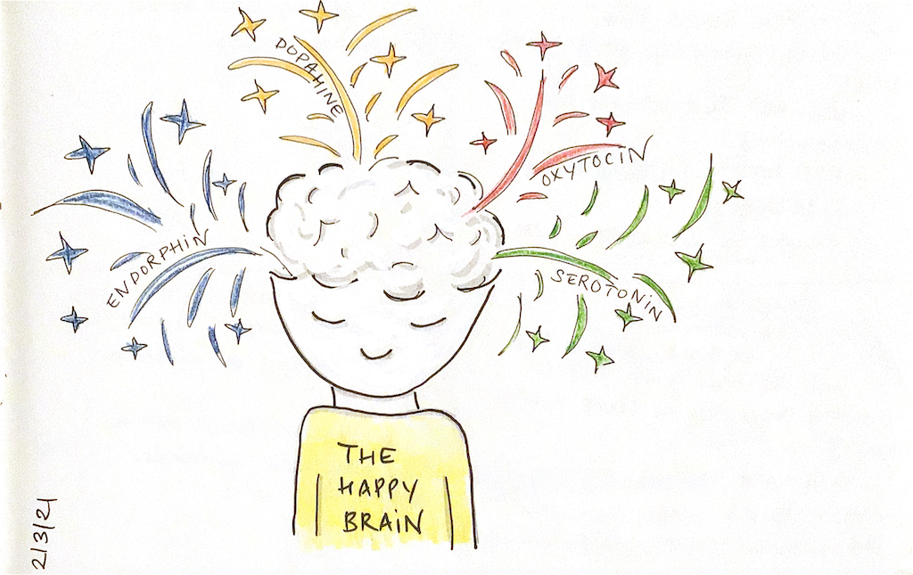 The Happy Brain…?